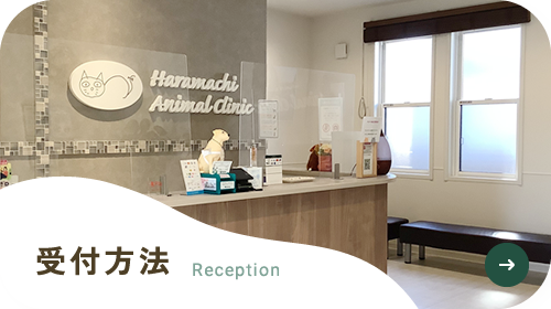 受付方法 Reception