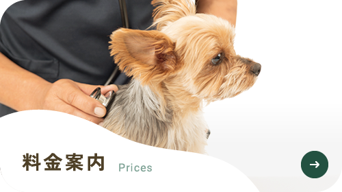 料金案内 Prices